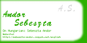 andor sebeszta business card